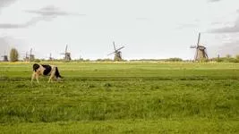 Historisch overzicht van de voedingsindustrie